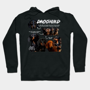 Dachshund Fun Facts Hoodie